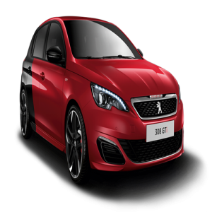 Xe Ô Tô Peugout (26)