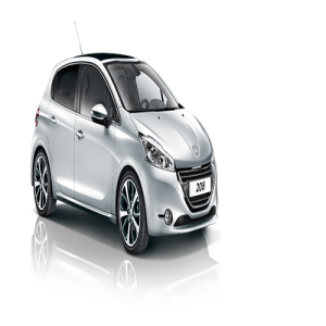 Xe Ô Tô Peugout (28)