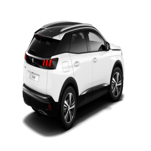 Xe Ô Tô Peugout (3)