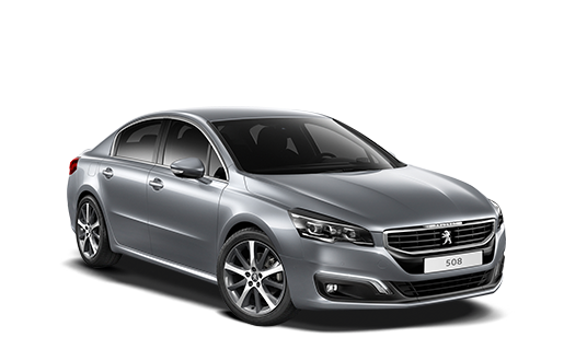 Xe Ô Tô Peugout (31)