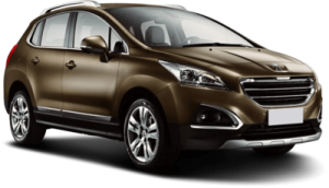 Xe Ô Tô Peugout (32)