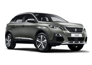 Xe Ô Tô Peugout (36)