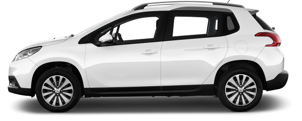 Xe Ô Tô Peugout (42)