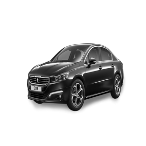 Xe Ô Tô Peugout (43)