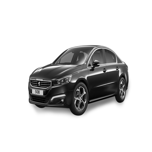 Xe Ô Tô Peugout (43)