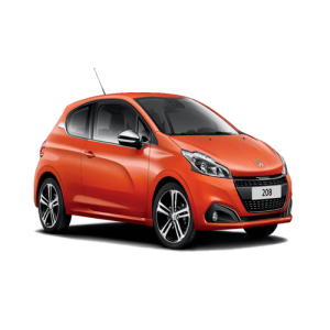 Xe Ô Tô Peugout (44)