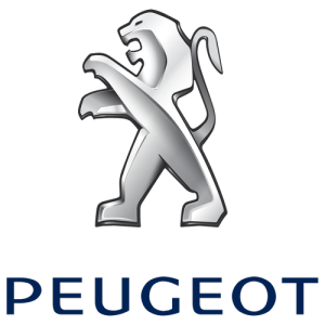 Xe Ô Tô Peugout (46)