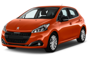 Xe Ô Tô Peugout (49)