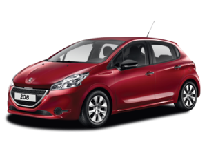 Xe Ô Tô Peugout (5)