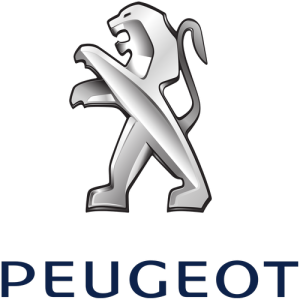 Xe Ô Tô Peugout (51)