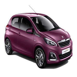 Xe Ô Tô Peugout (6)