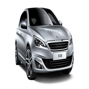 Xe Ô Tô Peugout (60)