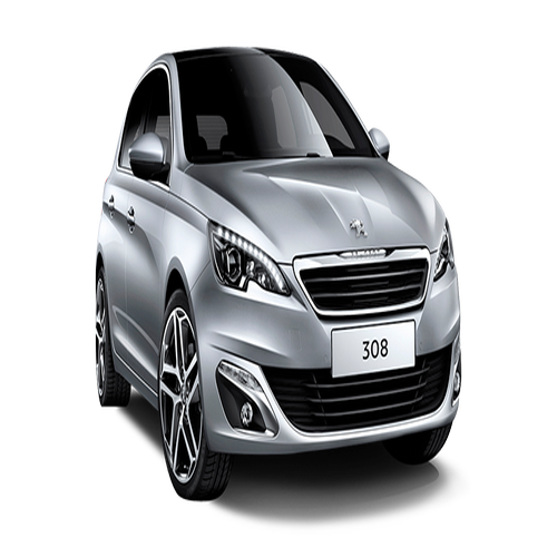 Xe Ô Tô Peugout (60)