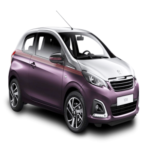 Xe Ô Tô Peugout (64)