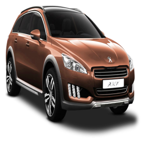 Xe Ô Tô Peugout (66)