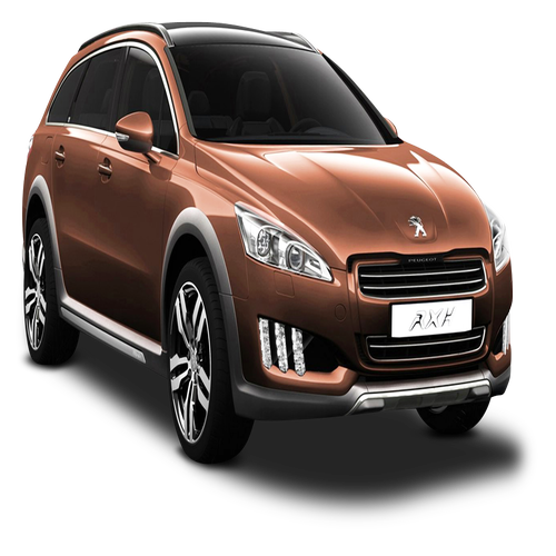 Xe Ô Tô Peugout (66)