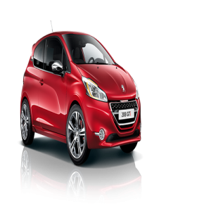 Xe Ô Tô Peugout (71)