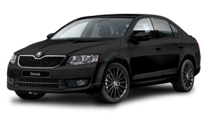 Xe Ô Tô Skoda (19)