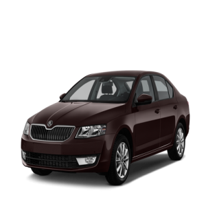 Xe Ô Tô Skoda (8)