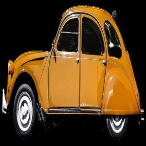 Xe Ô Tô citroen (26)