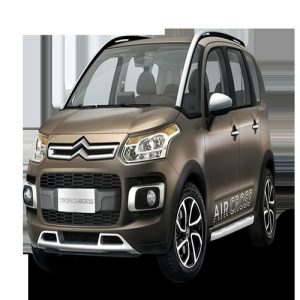 Xe Ô Tô citroen (32)