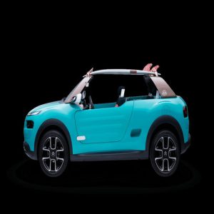 Xe Ô Tô citroen (41)