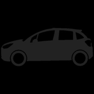 Xe Ô Tô citroen (43)