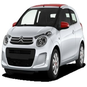 Xe Ô Tô citroen (51)