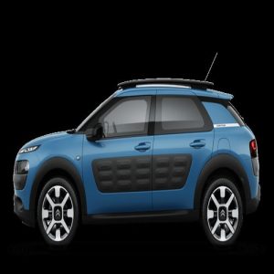 Xe Ô Tô citroen (55)