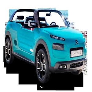 Xe Ô Tô citroen (77)