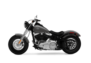 Xe harley PNg (27)