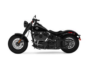 Xe harley PNg (45)