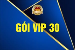 Gói VIP 30