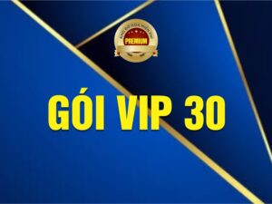 Gói VIP 30