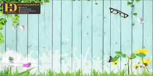 Background, Phông Nền Họp Lớp, Kỷ Niệm  (54)