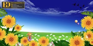 Background, Phông Nền Họp Lớp, Kỷ Niệm  (64)