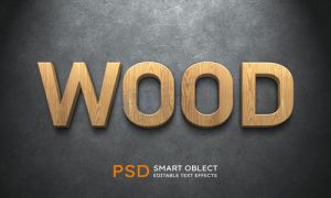 Hiệu Ứng Text Effect Photoshop (679)