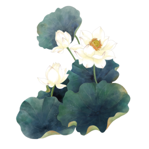 Hoa Sen - Lotus 0104 (18)