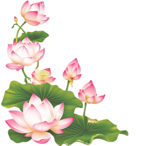 Hoa Sen - Lotus 0104 (20)