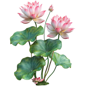 Hoa Sen - Lotus 0104 (30)