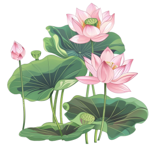Hoa Sen - Lotus 0104 (33)