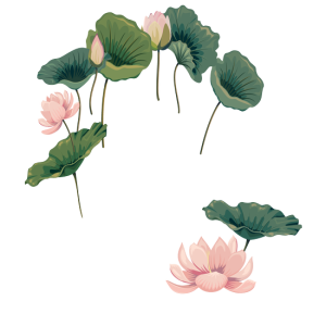 Hoa Sen - Lotus 0104 (4)