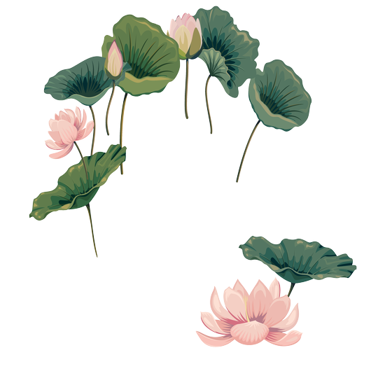 Hoa Sen - Lotus 0104 (4)