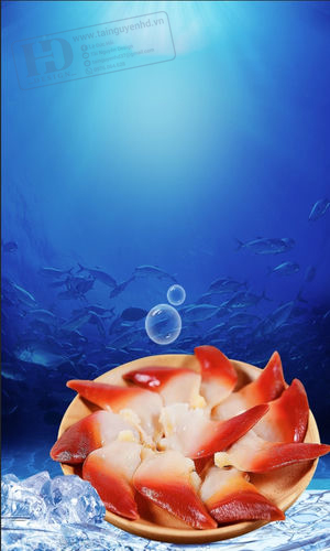 Mẫu Poster Hải Sản  (8)