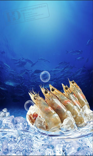Mẫu Poster Hải Sản  (9)