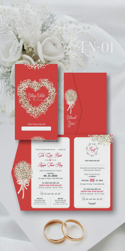Mẫu Thiệp Cưới Đẹp Mã TN (1)