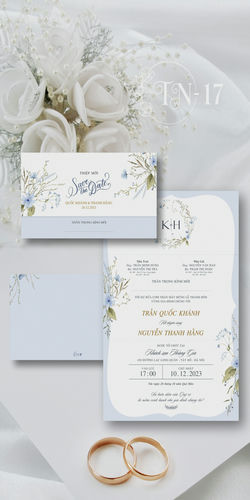 Mẫu Thiệp Cưới Đẹp Mã TN (17)