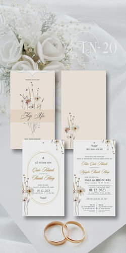 Mẫu Thiệp Cưới Đẹp Mã TN (20)