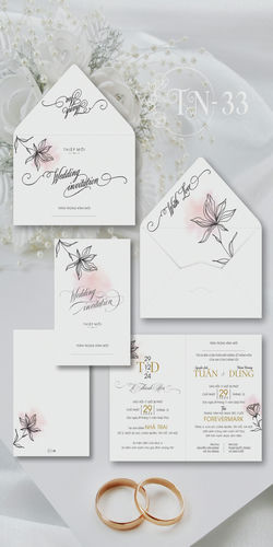 Mẫu Thiệp Cưới Đẹp Mã TN (27)