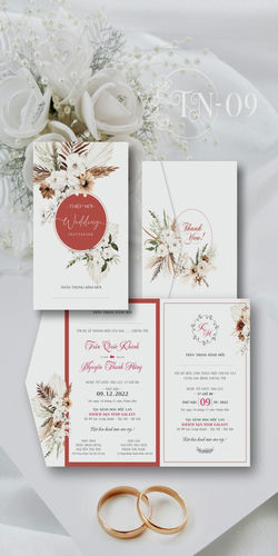 Mẫu Thiệp Cưới Đẹp Mã TN (9)